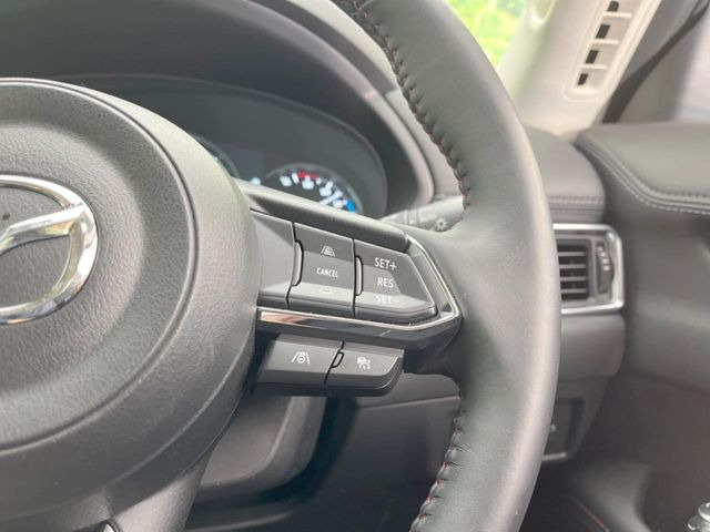 �y�}�c�_�E���[�_�[�N���[�Y�R���g���[���z�������H�ł̒��������s���y��!�����ő��x��ۂN���[�Y�R���g���[�����A�Փˌy���V�X�e���ƘA�g���A�O���̎ԗ������m���ĎԊԂ�ۂ悤�ɑ��x���߂��Ă���܂�!!