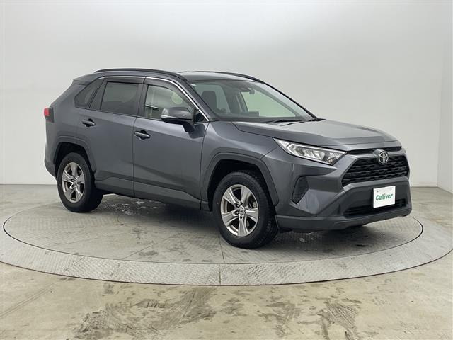 RAV42.0 X