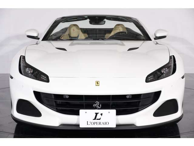 �O���r�A���R�A���X&times;20�C���`�b��AW�����B�O�^�ɂ͖�����p���������A�����ڂƑ���̗�����i�߂��|���g�t�B�[�mM�̓X�|�[�e�B���D��Ȉ�ۂł��B