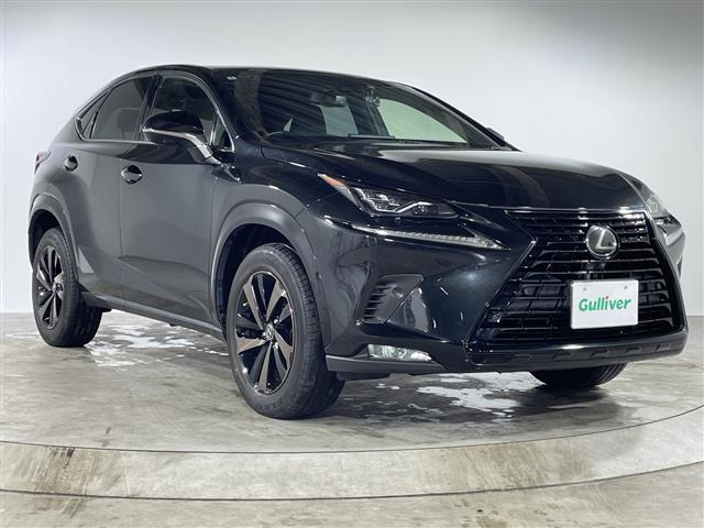 NX300 ブロンズ エディション