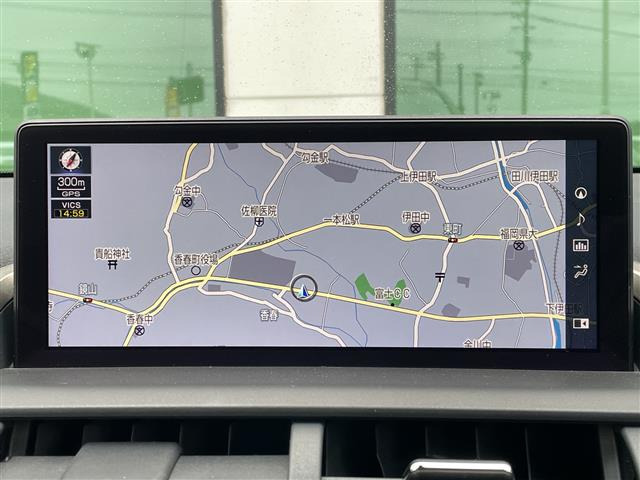 NX300h Fスポーツ