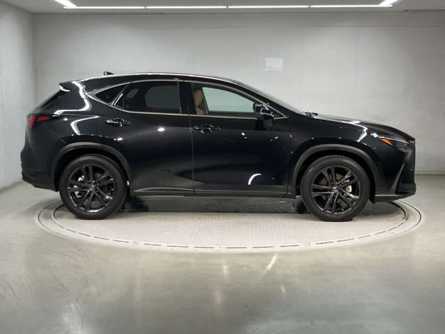 NX350h バージョンL