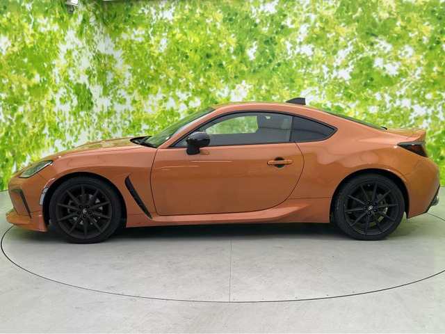 GR862.4 RZ 10th アニバーサリー リミテッド