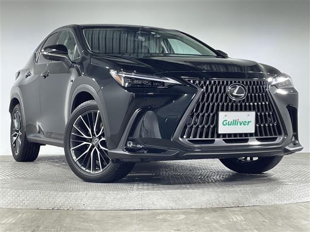 NX350h バージョンL