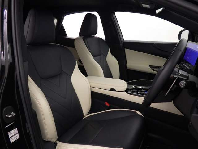 NX250 バージョンL