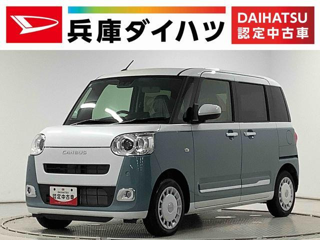 ムーヴキャンバスストライプス G