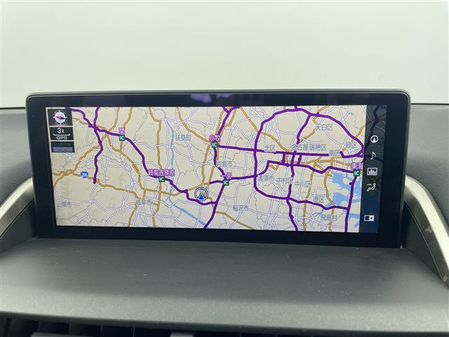 NX300h スパイス&amp;シック