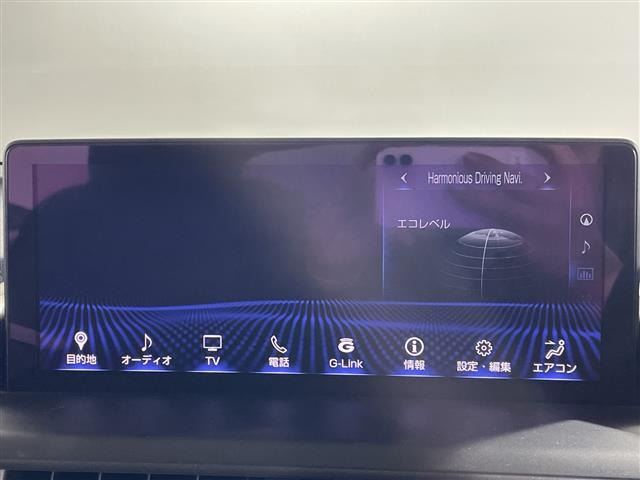 NX300 ブロンズ エディション