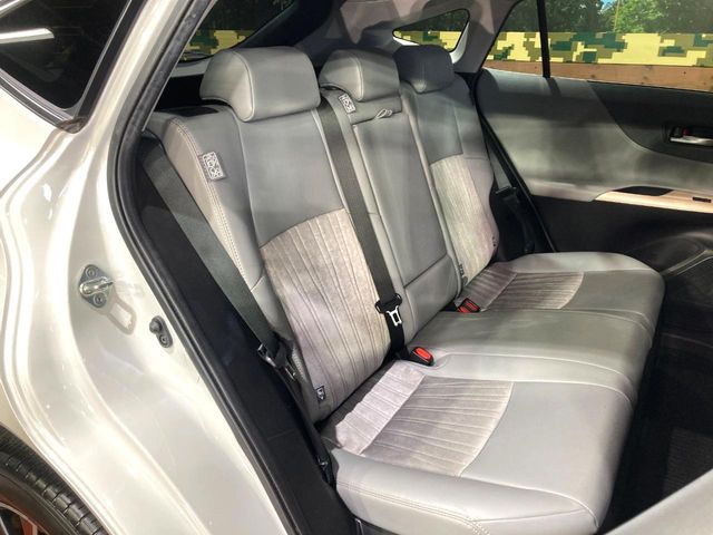 �㕔���Ȃ��C�ɂȂ�悤�ȃL�Y�E�����ւ��蓙�A�傫�ȃ_���[�W�͂Ȃ��A�ǍD�ȏ�Ԃł��B