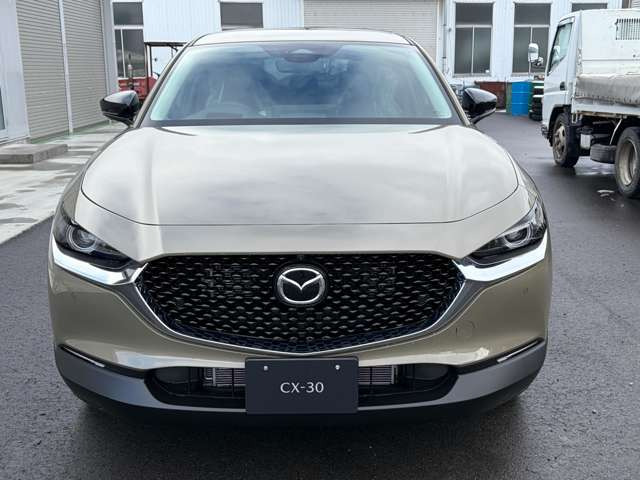 CX-302.0 20S ブラック セレクション