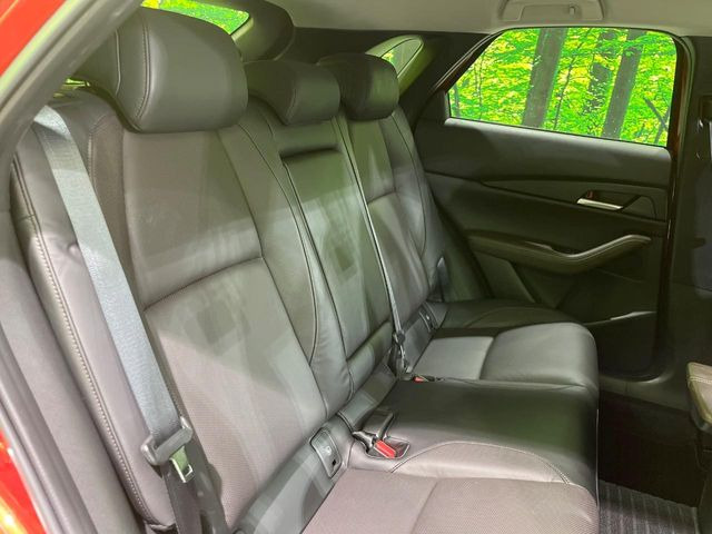 �㕔���Ȃ��C�ɂȂ�悤�ȃL�Y�E�����ւ��蓙�A�傫�ȃ_���[�W�͂Ȃ��A�ǍD�ȏ�Ԃł��B