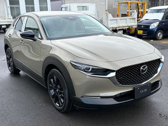 CX-302.0 20S ブラック セレクション
