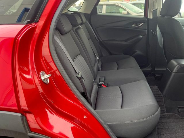 �㕔���Ȃ��C�ɂȂ�悤�ȃL�Y�E�����ւ��蓙�A�傫�ȃ_���[�W�͂Ȃ��A�ǍD�ȏ�Ԃł��B