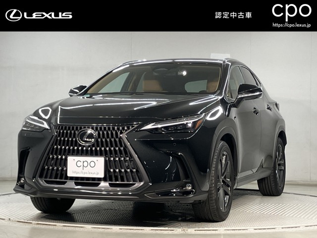 NX350h バージョンL