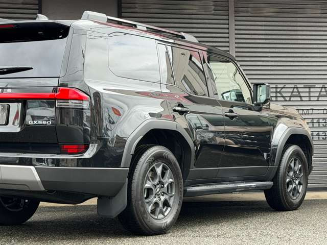 �g���Z��LSD�t�g�����X�t�@�[�E�f�B�t�@�����V�������b�N(�Z���^�[ )