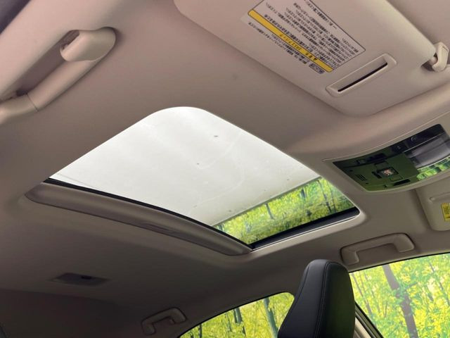 �y�T�����[�t�z�J���������Ղ�̊󏭑����A�T�����[�t����������Ă��܂�!�ԓ��ɖ�����������ꂽ��i�F���y���ވȊO�ɂ��A�ԓ��̋�C���ȒP�Ɋ��C�ł��ĉ��K�ł�!