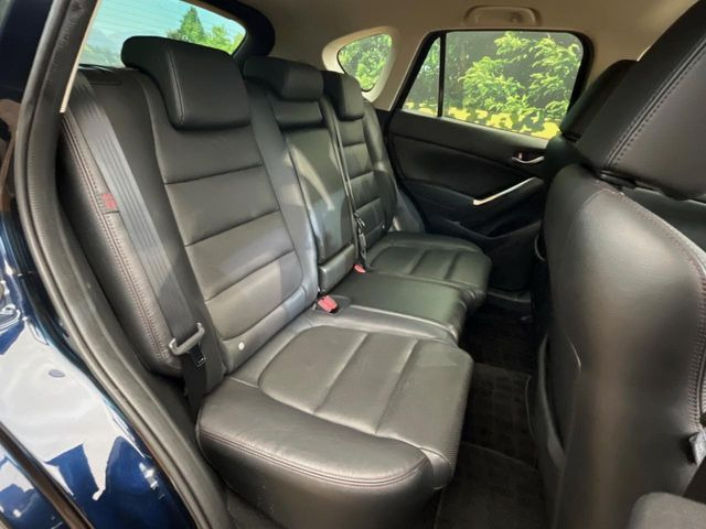 �㕔���Ȃ��C�ɂȂ�悤�ȃL�Y�E�����ւ��蓙�A�傫�ȃ_���[�W�͂Ȃ��A�ǍD�ȏ�Ԃł��B