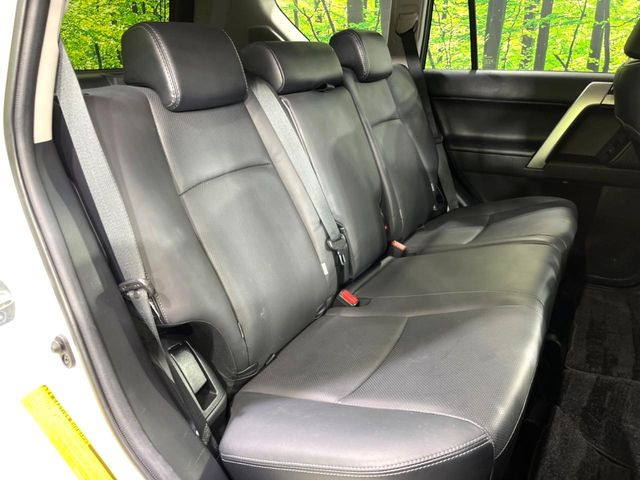 �㕔���Ȃ��C�ɂȂ�悤�ȃL�Y�E�����ւ��蓙�A�傫�ȃ_���[�W�͂Ȃ��A�ǍD�ȏ�Ԃł��B