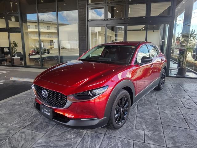 CX-301.8 XD ブラック セレクション