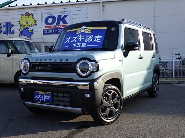 ハスラータフワイルド