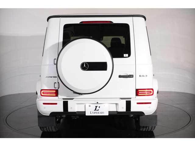 �w�ʃ^�C���𑕔����Ă���AG�N���X���L�̗͋����X�^�C�����ۗ�������f�U�C���ƂȂ��Ă���܂��B�܂��A����̃p���N���ɂ����S�ł�����p�������˔����������ł������܂��B