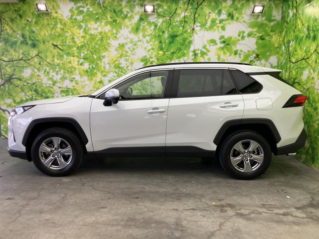 RAV42.0 X