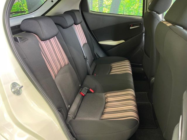 �㕔���Ȃ��C�ɂȂ�悤�ȃL�Y�E�����ւ��蓙�A�傫�ȃ_���[�W�͂Ȃ��A�ǍD�ȏ�Ԃł��B