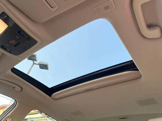 �y���[�����[�t�z�J���������Ղ�̊󏭑����A���[�����[�t����������Ă��܂�!�ԓ��ɖ�����������ꂽ��i�F���y���ވȊO�ɂ��A�ԓ��̋�C���ȒP�Ɋ��C�ł��ĉ��K�ł�!