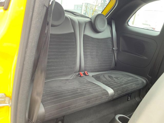 ���㕔���Ȃ��C�ɂȂ�悤�ȃL�Y�E�����ւ��蓙�A�傫�ȃ_���[�W�͂Ȃ��A�ǍD�ȏ�Ԃł��B