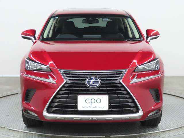 NX300h Iパッケージ