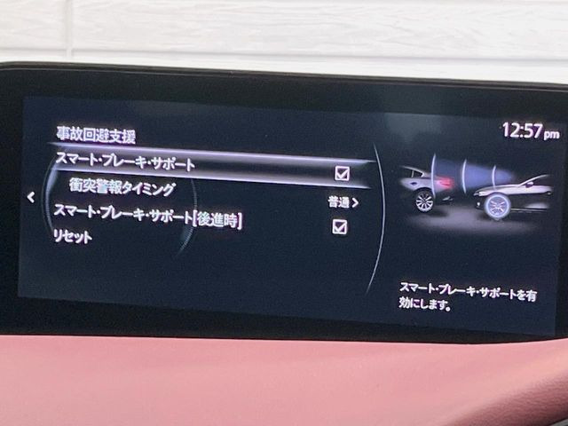 �y�X�}�[�g�u���[�L�T�|�[�g�z���s���ɑO���̎ԗ�����F�����A�Փ˂������Ȏ��͌x��ƃu���[�L�ŏՓˉ���Ɣ�Q�y�����A�V�X�g�B�����S�Ƀh���C�u�����y���݂��������܂��B