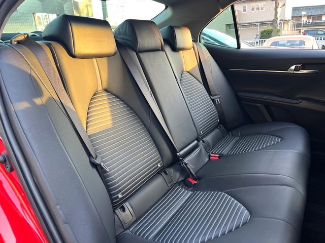 �㕔���Ȃ��C�ɂȂ�悤�ȃL�Y�E�����ւ��蓙�A�傫�ȃ_���[�W�͂Ȃ��A�ǍD�ȏ�Ԃł��B