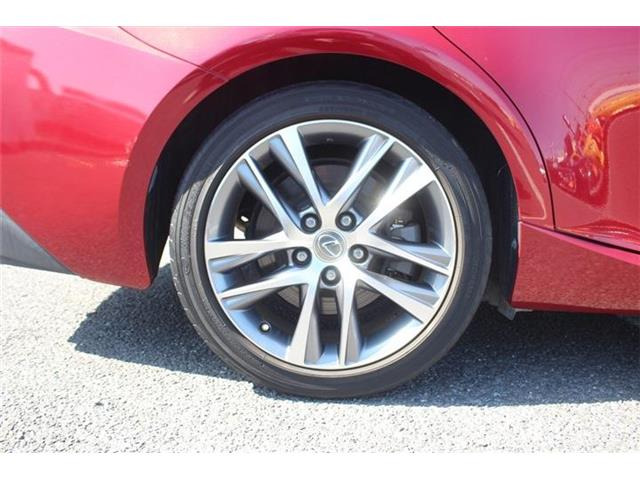 ���Ǝҗl�ւ̔̔��͂��f�肳���Ă��������܂��B �Ԍ������ԗ��̏ꍇ�́A�Ԍ����擾�������x�������z�ŕ\�����Ă���܂��B