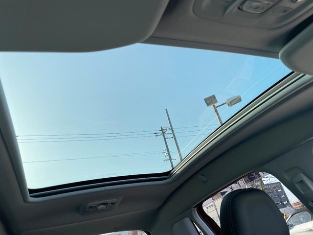 ���p�m���}�~�b�N�K���X���[�t:�唗�͂̃p�m���}���[�t�́A�㕔���Ȃɂ܂ő����Ă���A�J���I�ȋ�Ԃ����y���݂��������܂��B