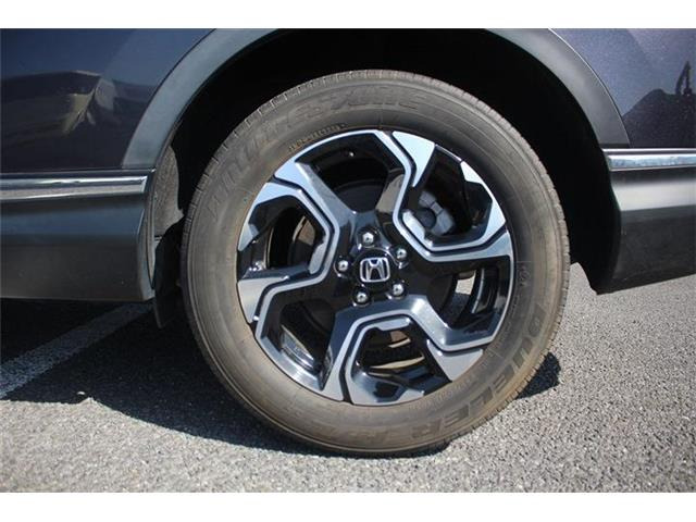 ���Ǝҗl�ւ̔̔��͂��f�肳���Ă��������܂��B �Ԍ������ԗ��̏ꍇ�́A�Ԍ����擾�������x�������z�ŕ\�����Ă���܂��B