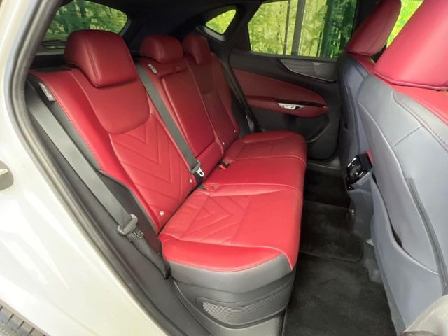 �㕔���Ȃ��C�ɂȂ�悤�ȃL�Y�E�����ւ��蓙�A�傫�ȃ_���[�W�͂Ȃ��A�ǍD�ȏ�Ԃł��B