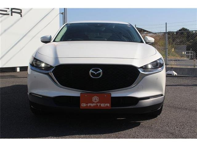 �����X�o���Ȃ����q�l�A���Ǝҗl�ւ̔̔��͂��f�肳���Ă��������܂��B�Ԍ������ԗ��̏ꍇ�́A�Ԍ����擾�������x�������z�ŕ\�����Ă���܂��B