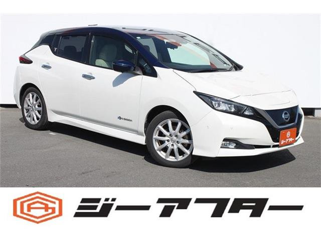 リーフ(日産) G　禁煙車 ベージュ革シート 純正ナビ 中古車画像