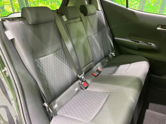 �㕔���Ȃ��C�ɂȂ�悤�ȃL�Y�E�����ւ��蓙�A�傫�ȃ_���[�W�͂Ȃ��A�ǍD�ȏ�Ԃł��B