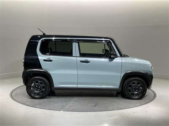 ハスラータフワイルド