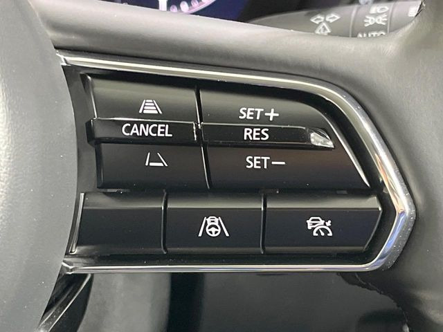 �y�}�c�_�E���[�_�[�N���[�Y�R���g���[���z�������H�ł̒��������s���y��!�����ő��x��ۂN���[�Y�R���g���[�����A�Փˌy���V�X�e���ƘA�g���A�O���̎ԗ������m���ĎԊԂ�ۂ悤�ɑ��x���߂��Ă���܂�!!