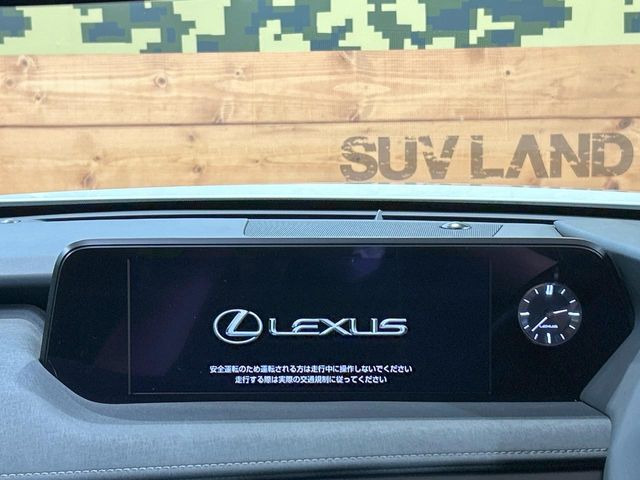 UX250h バージョンC