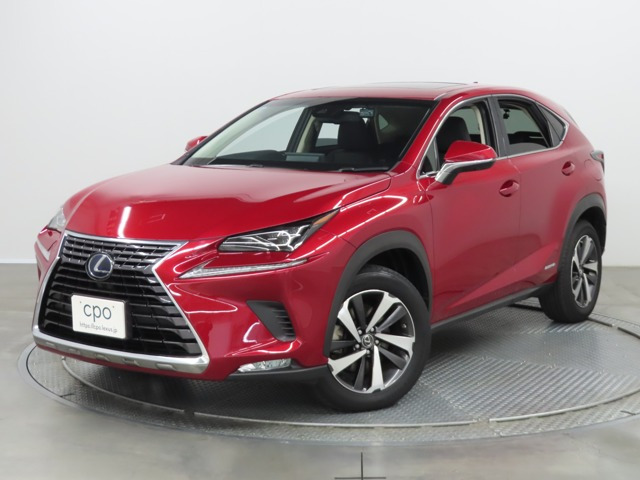 NX300h Iパッケージ