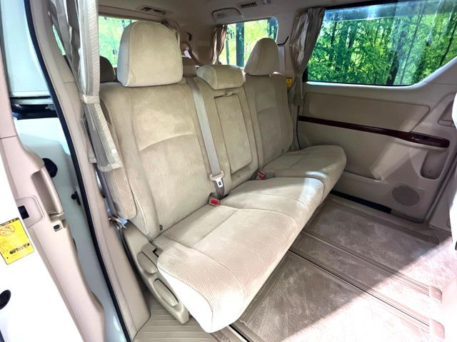 �㕔���Ȃ��C�ɂȂ�悤�ȃL�Y�E�����ւ��蓙�A�傫�ȃ_���[�W�͂Ȃ��A�ǍD�ȏ�Ԃł��B