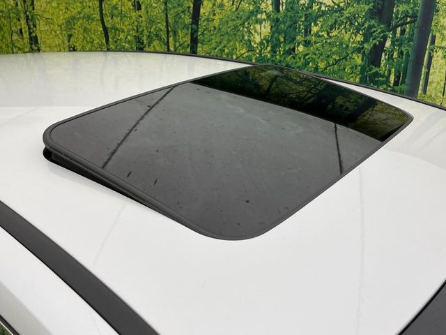 �y�T�����[�t�z�J���������Ղ�̊󏭑����A�T�����[�t����������Ă��܂�!�ԓ��ɖ�����������ꂽ��i�F���y���ވȊO�ɂ��A�ԓ��̋�C���ȒP�Ɋ��C�ł��ĉ��K�ł�!