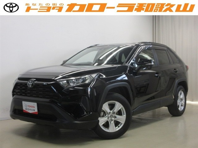 RAV42.0 X