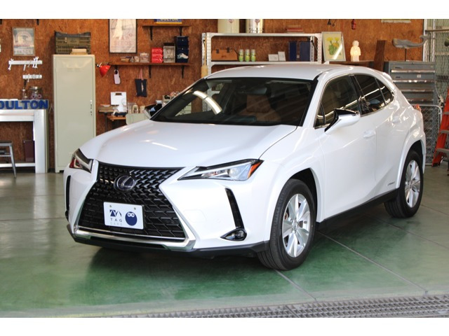 UX250h バージョンC