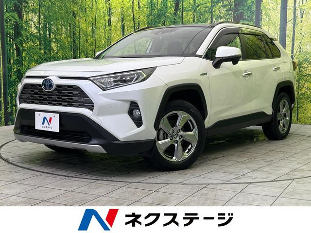 RAV42.5 ハイブリッド G E-Four 4WD