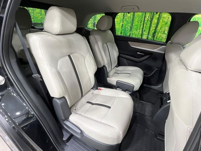 �㕔���Ȃ��C�ɂȂ�悤�ȃL�Y�E�����ւ��蓙�A�傫�ȃ_���[�W�͂Ȃ��A�ǍD�ȏ�Ԃł��B