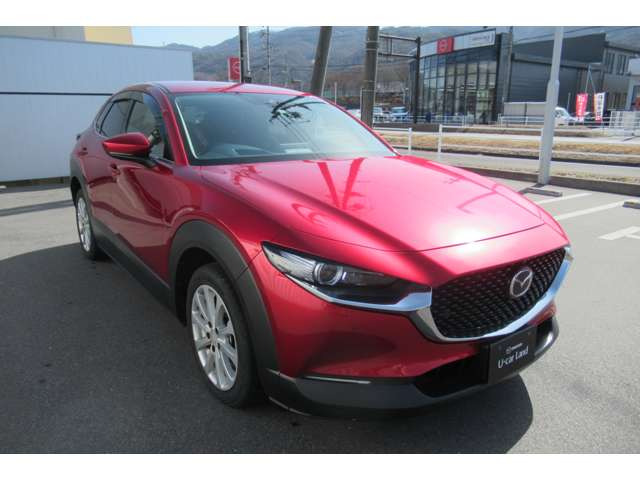 CX-301.8 XD プロアクティブ ツーリングセレクション